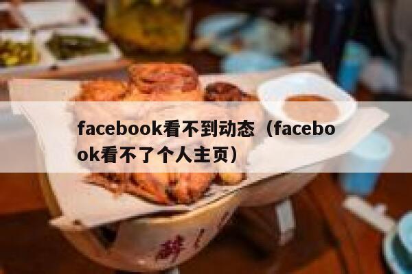 facebook看不到动态（facebook看不了个人主页） 第1张