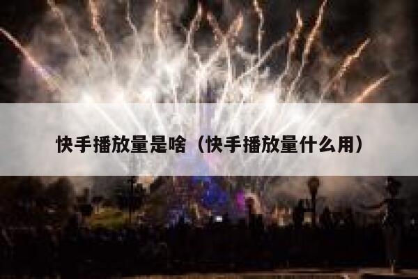 快手播放量是啥（快手播放量什么用） 第1张