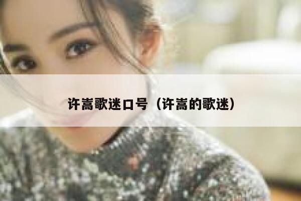 许嵩歌迷口号（许嵩的歌迷） 第1张