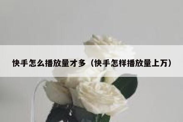 快手怎么播放量才多（快手怎样播放量上万） 第1张