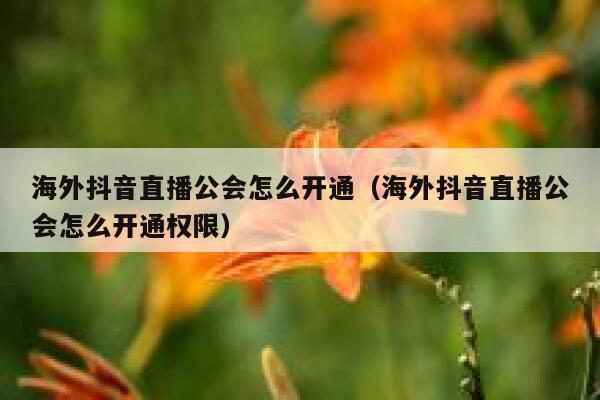 海外抖音直播公会怎么开通（海外抖音直播公会怎么开通权限） 第1张
