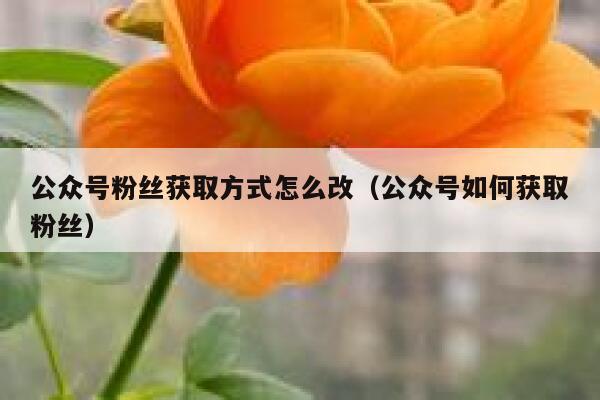 公众号粉丝获取方式怎么改（公众号如何获取粉丝） 第1张