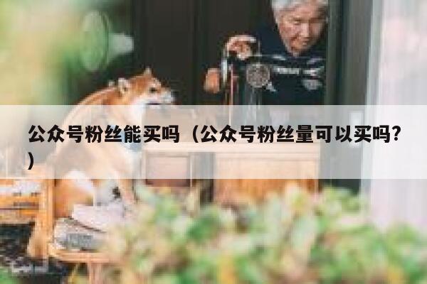 公众号粉丝能买吗（公众号粉丝量可以买吗?） 第1张