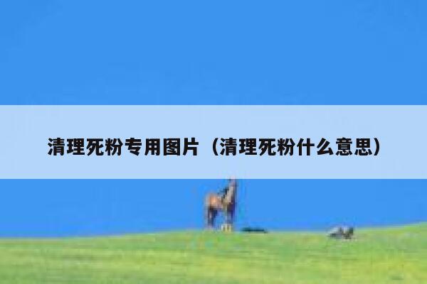清理死粉专用图片（清理死粉什么意思） 第1张