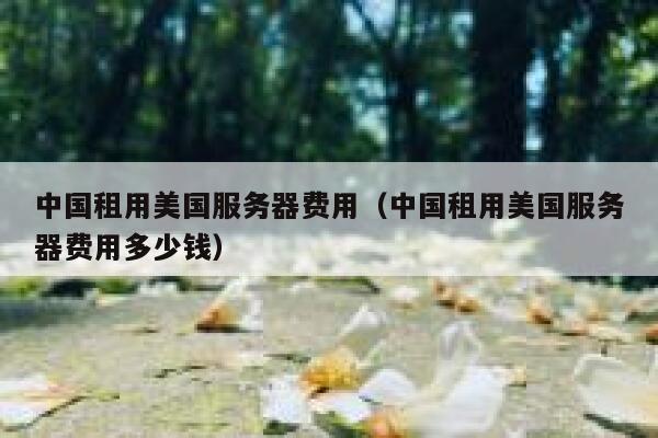 中国租用美国服务器费用（中国租用美国服务器费用多少钱） 第1张