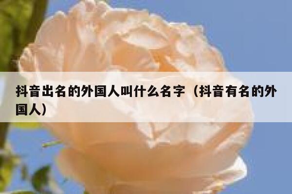 抖音出名的外国人叫什么名字（抖音有名的外国人） 第1张