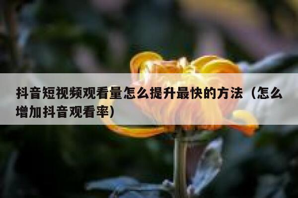 抖音短视频观看量怎么提升最快的方法（怎么增加抖音观看率） 第1张