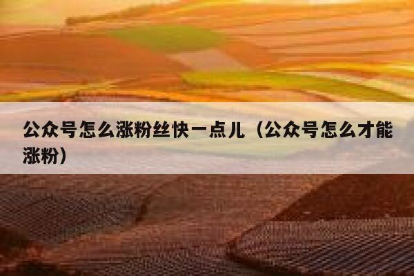 公众号怎么涨粉丝快一点儿（公众号怎么才能涨粉） 第1张