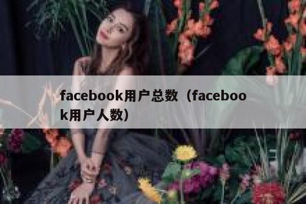 facebook用户总数（facebook用户人数） 第1张