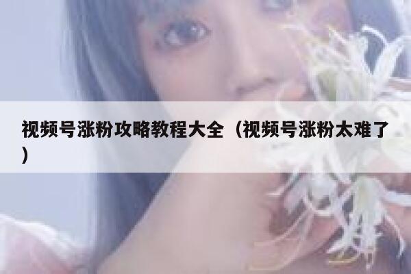 视频号涨粉攻略教程大全（视频号涨粉太难了） 第1张