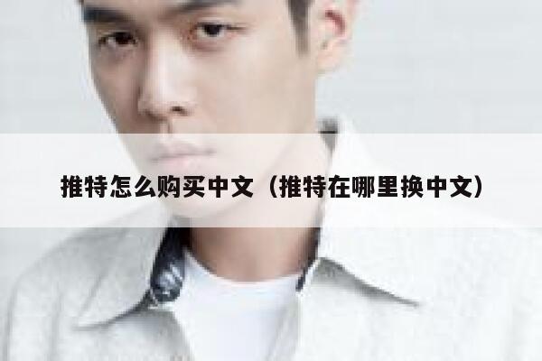 推特怎么购买中文（推特在哪里换中文） 第1张