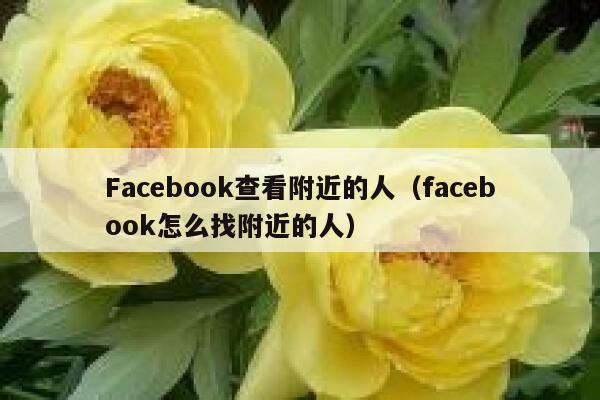 Facebook查看附近的人（facebook怎么找附近的人） 第1张