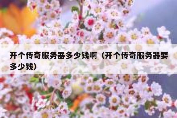 开个传奇服务器多少钱啊（开个传奇服务器要多少钱） 第1张