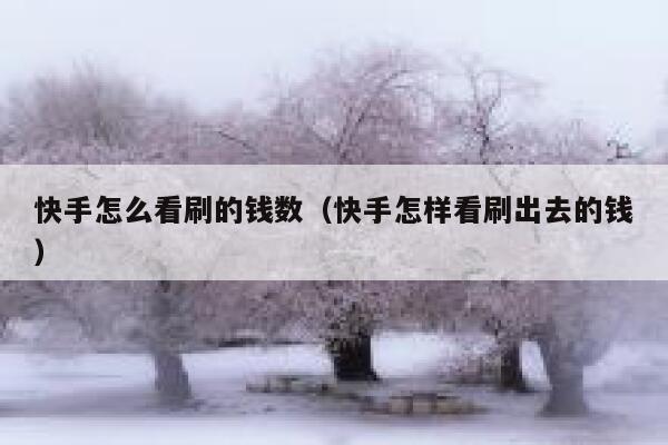 快手怎么看刷的钱数（快手怎样看刷出去的钱） 第1张