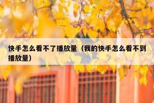 快手怎么看不了播放量（我的快手怎么看不到播放量） 第1张