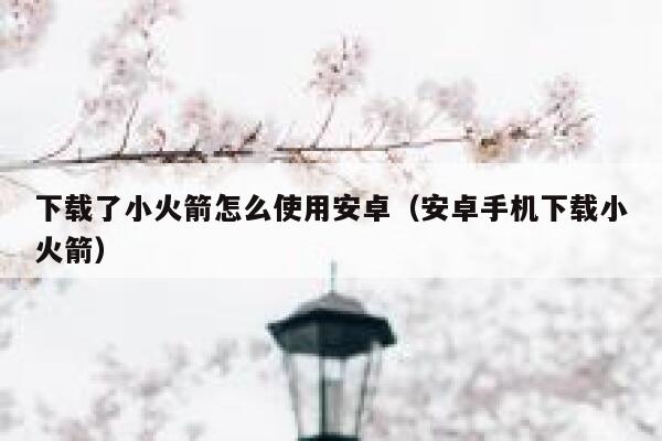下载了小火箭怎么使用安卓（安卓手机下载小火箭） 第1张