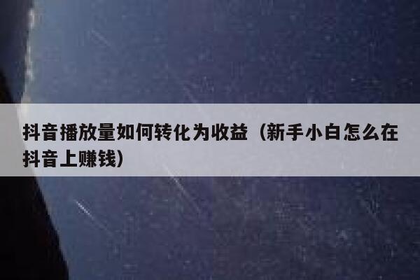 抖音播放量如何转化为收益（新手小白怎么在抖音上赚钱） 第1张