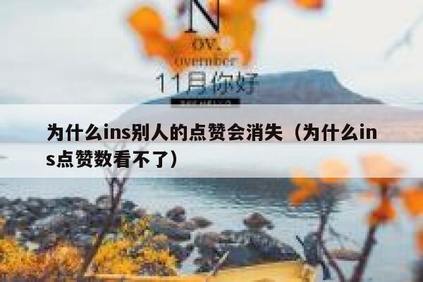 为什么ins别人的点赞会消失（为什么ins点赞数看不了） 第1张