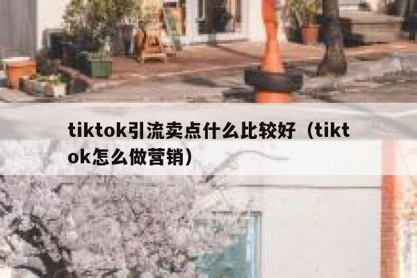 tiktok引流卖点什么比较好（tiktok怎么做营销） 第1张