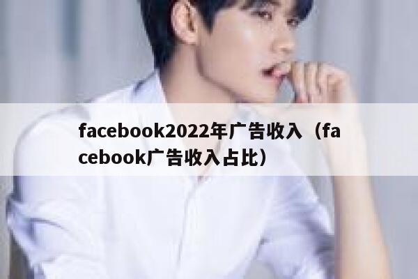 facebook2022年广告收入（facebook广告收入占比） 第1张