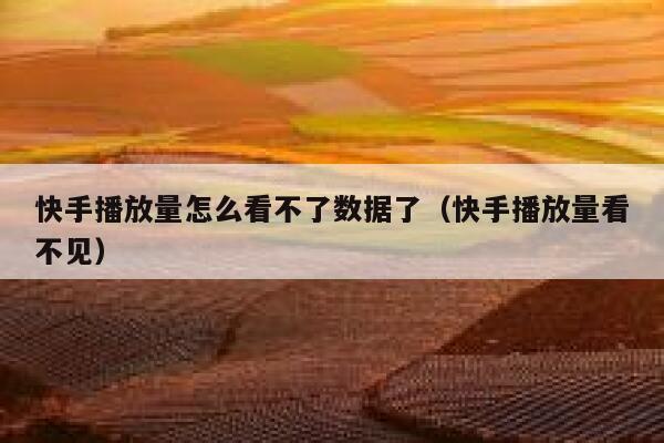 快手播放量怎么看不了数据了（快手播放量看不见） 第1张
