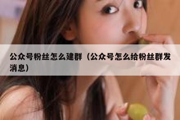 公众号粉丝怎么建群（公众号怎么给粉丝群发消息） 第1张