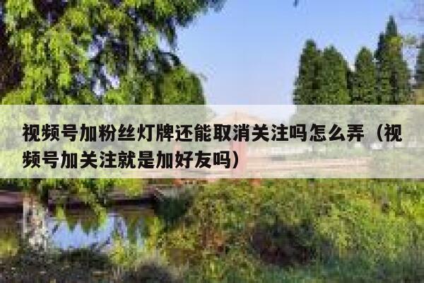 视频号加粉丝灯牌还能取消关注吗怎么弄（视频号加关注就是加好友吗） 第1张