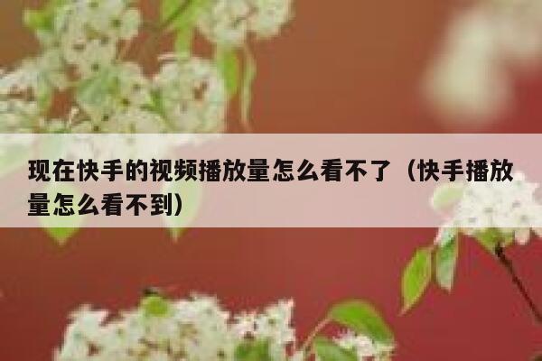 现在快手的视频播放量怎么看不了（快手播放量怎么看不到） 第1张