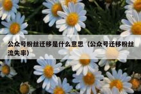 公众号粉丝迁移是什么意思（公众号迁移粉丝流失率） 第1张