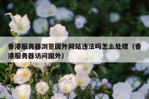 香港服务器浏览国外网站违法吗怎么处理（香港服务器访问国外） 第1张