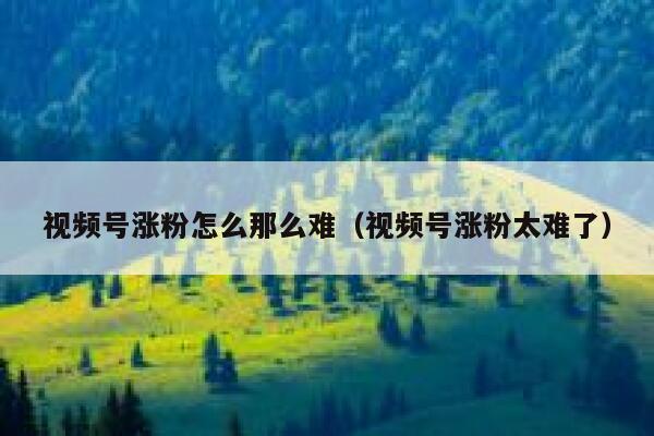 视频号涨粉怎么那么难（视频号涨粉太难了） 第1张