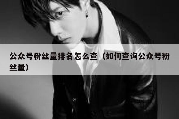 公众号粉丝量排名怎么查（如何查询公众号粉丝量） 第1张