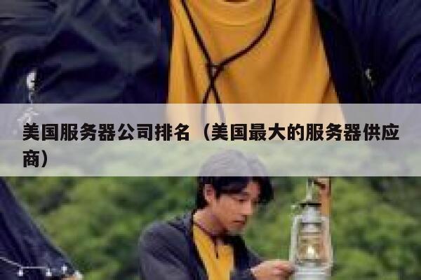 美国服务器公司排名（美国最大的服务器供应商） 第1张
