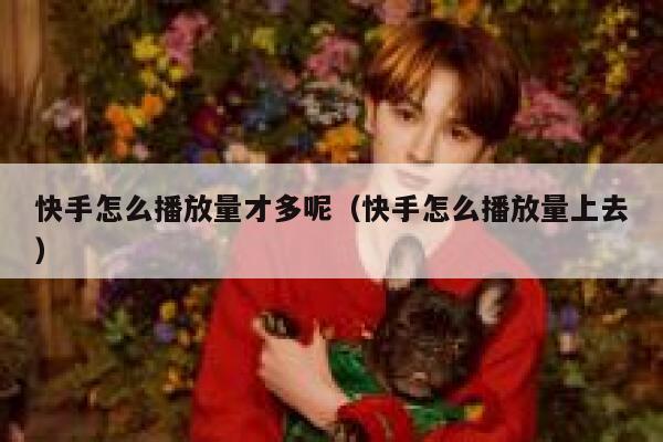 快手怎么播放量才多呢（快手怎么播放量上去） 第1张