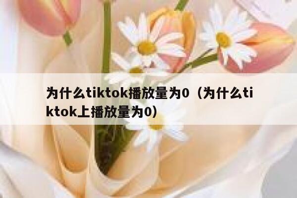 为什么tiktok播放量为0（为什么tiktok上播放量为0） 第1张