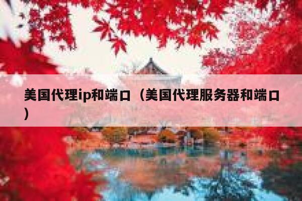 美国代理ip和端口（美国代理服务器和端口） 第1张