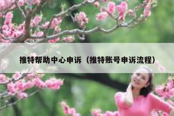 推特帮助中心申诉（推特账号申诉流程） 第1张