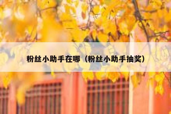 粉丝小助手在哪（粉丝小助手抽奖） 第1张