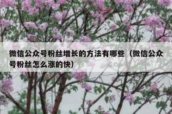 微信公众号粉丝增长的方法有哪些（微信公众号粉丝怎么涨的快） 第1张