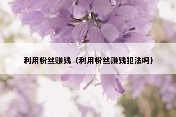 利用粉丝赚钱（利用粉丝赚钱犯法吗） 第1张