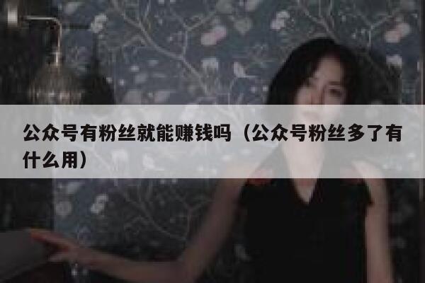 公众号有粉丝就能赚钱吗（公众号粉丝多了有什么用） 第1张