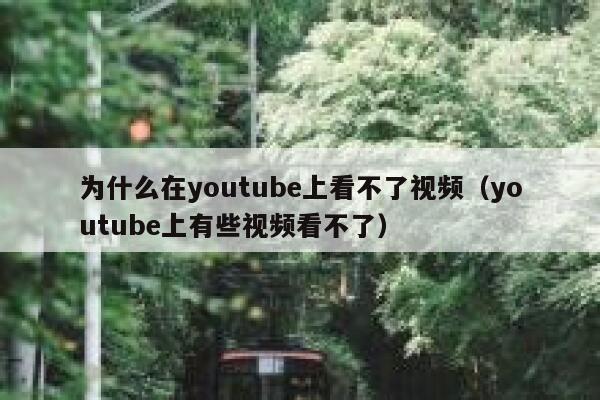 为什么在youtube上看不了视频（youtube上有些视频看不了） 第1张