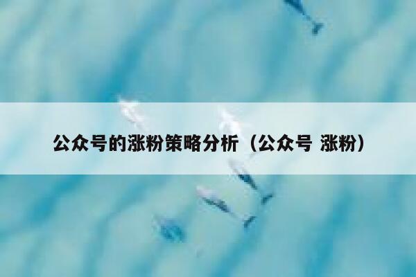 公众号的涨粉策略分析（公众号 涨粉） 第1张