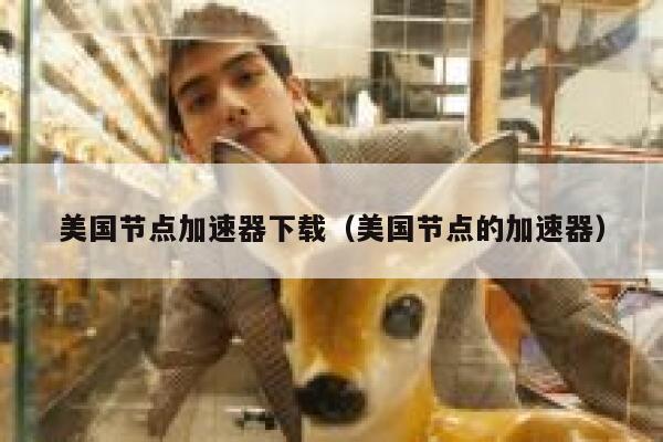 美国节点加速器下载（美国节点的加速器） 第1张