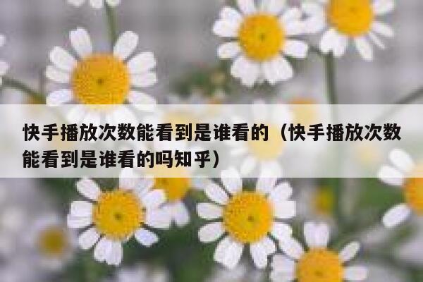 快手播放次数能看到是谁看的（快手播放次数能看到是谁看的吗知乎） 第1张