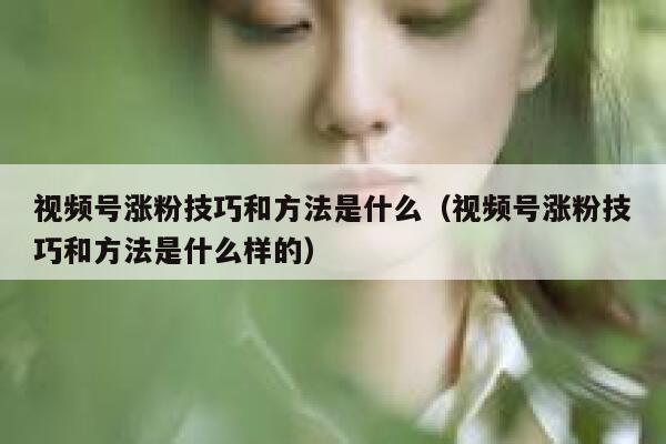 视频号涨粉技巧和方法是什么（视频号涨粉技巧和方法是什么样的） 第1张