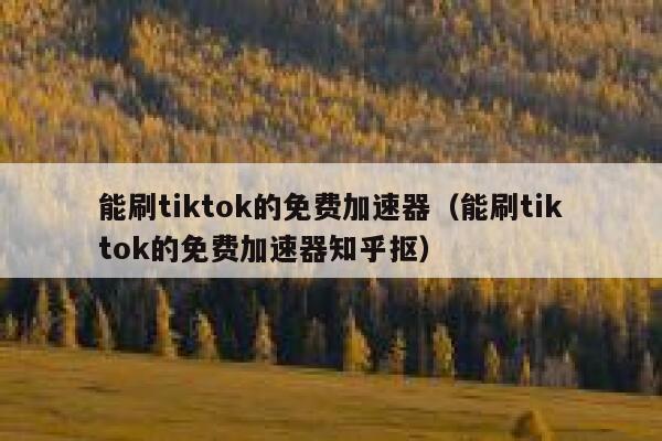 能刷tiktok的免费加速器（能刷tiktok的免费加速器知乎抠） 第1张