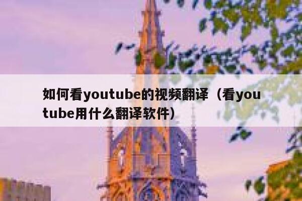 如何看youtube的视频翻译（看youtube用什么翻译软件） 第1张
