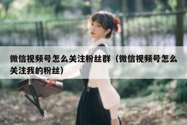 微信视频号怎么关注粉丝群（微信视频号怎么关注我的粉丝） 第1张