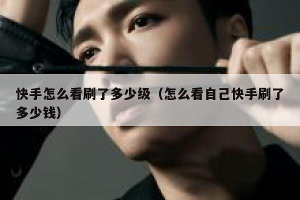 快手怎么看刷了多少级（怎么看自己快手刷了多少钱） 第1张